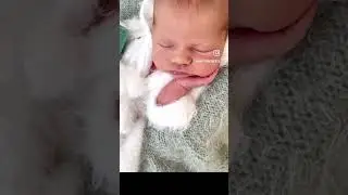 Newborn photoshoot  #newborn #newbornbaby # #newbornphotos #newbornposing
