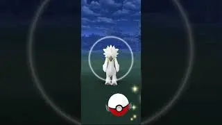 Furfrou joins the battle!