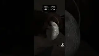 Vendosa ditelindjet tona, cfare kuptimi ka?