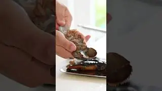 How to prepare & clean a lobster | tips & tricks 