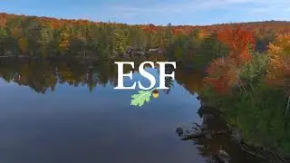 ESF Drone Tour