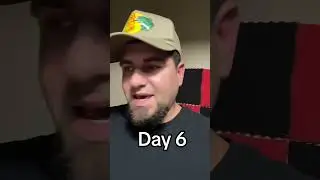 Day 6: #day6 #tiktok #foryou #creatorsearchinsights #independentartist #artist