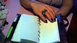 FiloFAX Birthday present:  Personal Plum Osterly in the house!!