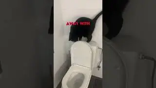 Cat loves watching swirly toilet water 😸🚽