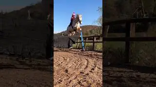 Riding a Wind 💨 Moving Jump  