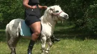 Small pony riding By beautiful big lady 