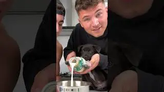 How to make the “Puppucino” 