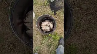 ХОРОШЕГО ПО НЕМНОЖКО 😜👍👍