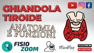 LA GHIANDOLA TIROIDE/ #FisioMap