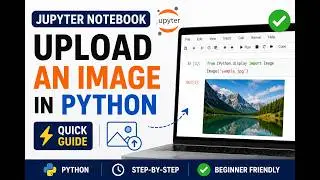 How to Add an Image in Jupyter Notebook | Python