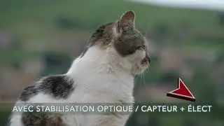 Stabilisation des boîtiers Lumix Micro-Quatre-Tiers et Full Frame