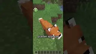 AHORA LOS ZORROS TIENEN BARBA EN MINECRAFT #shorts
