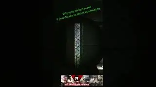 Escape from Tarkov Beautiful headshot