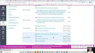 Tour of Accounting 202OL class Canvas and Connect websites hosting the class.