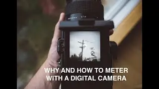 Why and how to meter with a mirrorless digital camera