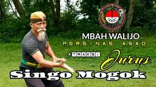 the attraction of the traditional martial arts stance of mbah walijo persinas asad