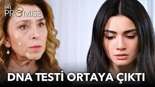 Cavidan dna testini ortaya çıkarıyor | Yemin 216. Bölüm