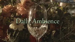 Daily Ambience / Cắm trại và trang trí bàn tiệc