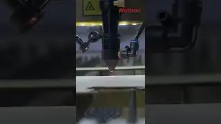 Watch to the end! #wattsan #shorts #cncrouter #cnclaser #cats #catshorts