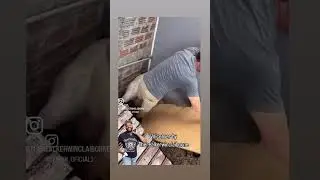 lol this is funny