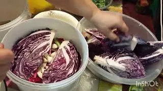 Квасим краснокочанную капусту с мангольдом...