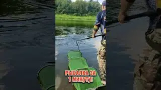 Насыщенная рыбалка за одну минуту! #fishing #рыбалка #shorts