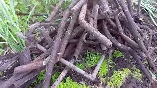 О, ценах на лом черных металлов.