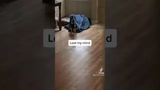 Lost My Mind 2023