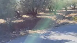 Ο διάτρητος από τρύπες δρόμος Ελαιοφυτο Γιάλοβα .