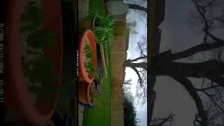 Brinno TLC 300 Time Lapse Camera Footage