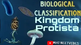 Biological Classification | Part 5: Kingdom Protista |#neetmotivation #neetbiology #neetpreparation