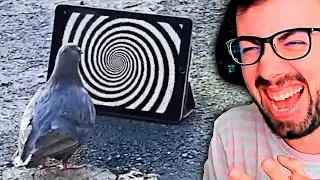Si te RIES PIERDES nivel EXTREMO imposible DIOS Díficil 😂