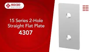 80/20: 15 Series 2-Hole Flat Plate (4307)