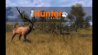 Долбим Оленей 24/7 в The Hunter Classic!!