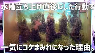 The aquarium I finally set up was instantly covered in moss because of my own actions… #688 [Aqua...
