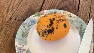 Palm Springs Mango taste test