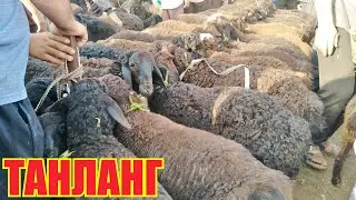 ФАРГОНА КУЙ БОЗОРИ 2020. КУЧКОРЛАР КУЗИЛАР ЕНА БОЛА КУЙЛАР