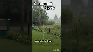 Потужна злива🌧️ 