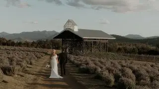 Sam + Lauren - A Kooroomba Lavendar Farm Wedding - Mount Alford QLD