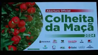 Colheita da maçã: Uma experiência única em Fraiburgo