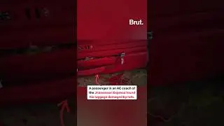 When an unexpected guest entered an AC coach of a train.