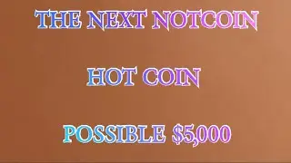 HOW TO SETUP HOT WALLET AS A BEGINNER