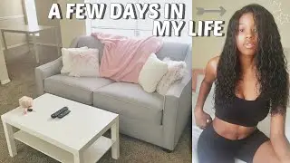 a productive day in my life (moving vlog) | apartment updates, building furniture w/ friends, etc.