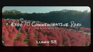 【NiSi BLACK MIST filter 1/4】万博記念公園 shot on LUMIX S5