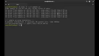 Ping in Linux