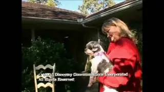 Animal Cops Houston Ending