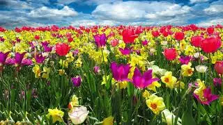 🎶Parvia den na proletta (impression)🧘Meditation music☀️Peter Deunov🇧🇬Първия ден на пролетта