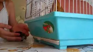 10/10 челендж день 9