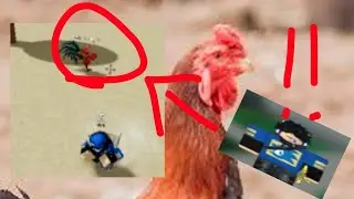 catching a wild rooster in combat warriors
