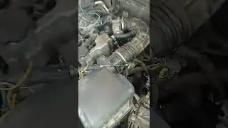ни чего не просит , но и не едет..